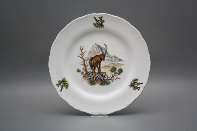 Flat plate 25cm Ofelia Ibex GZL č.1