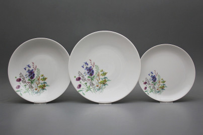 Plate set Coup Flowering meadow Motive D 24-piece HBB č.1