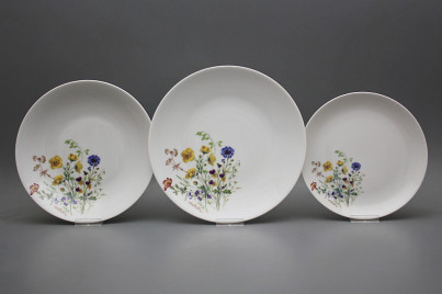 Plate set Coup Flowering meadow Motive B 24-piece HBB č.1