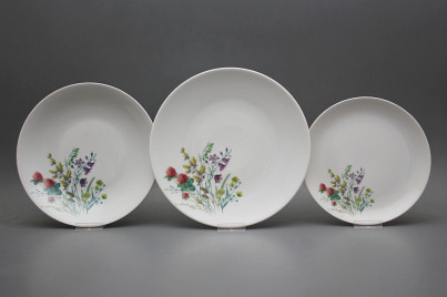 Plate set Coup Flowering meadow Motive C 24-piece HBB č.1