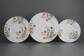 Plate set Nina Flowering meadow Pattern B 36-piece CBB