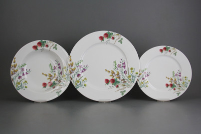 Plate set Nina Flowering meadow Pattern C 12-piece CBB č.1