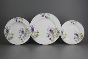 Plate set Nina Flowering meadow Pattern D 24-piece CBB