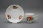 Coffee cup 0,18l and saucer Ofelia Poinsettia GL č.2