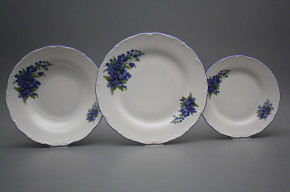 Plate set Ofelia Forget-me-not 12-piece DAL