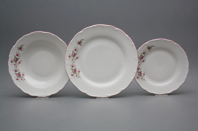 Plate set Ofelia Pink roses 36-piece HRL č.1