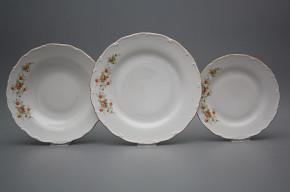 Plate set Ofelia Tea roses 18-piece HHL