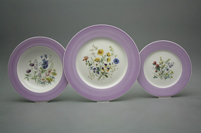 Plate set Nina Flowering meadow 36-piece IFP č.1