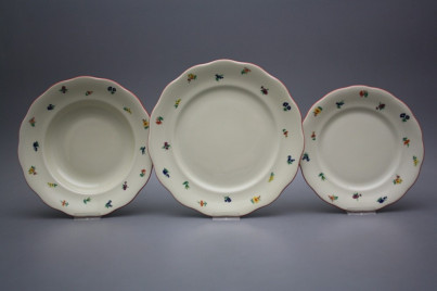 Plate set Alaska ECRU Sprays 12-piece ACL č.1