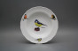 Plate set Ofelia Bird world 18-piece GBB č.12