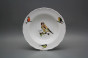 Plate set Ofelia Bird world 18-piece GBB č.13