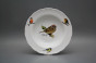 Plate set Ofelia Bird world 18-piece GBB č.14