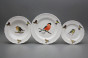 Plate set Ofelia Bird world 12-piece GBB č.2