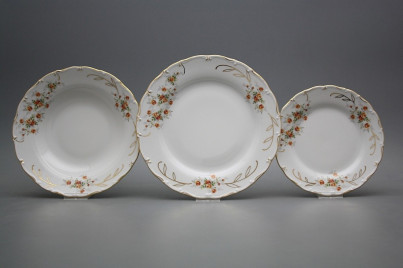 Plate set Ofelia Tea roses 12-piece CGL č.1