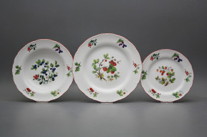 Plate set Ofelia Forest berries 12-piece FCL