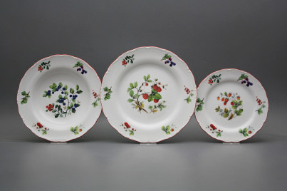 Plate set Ofelia Forest berries 12-piece FCL č.1