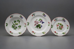 Plate set Ofelia Forest berries 36-piece FCL