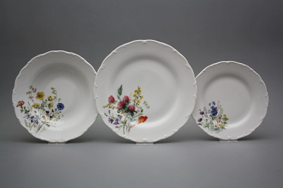 Plate set Ofelia Flowering meadow 12-piece HBB č.1