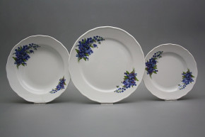 Plate set Rokoko Forget-me-not 12-piece DBB