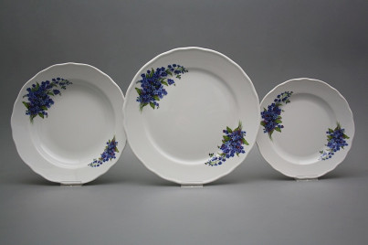 Plate set Rokoko Forget-me-not 12-piece DBB č.1