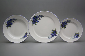 Plate set Rokoko Forget-me-not 18-piece DAL