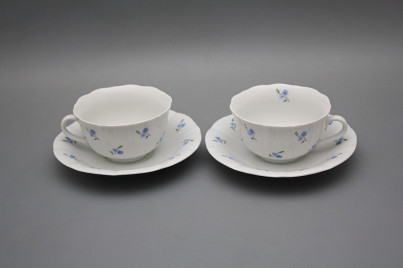 Cup low with saucer C1ZC1 Rokoko Forget-me-not Sprays BB č.1