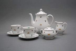 Coffee set Verona Sprays 15-piece BB