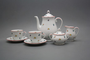 Coffee set Verona Sprays 15-piece CL