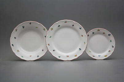 Plate set Verona Sprays 18-piece ACL č.1