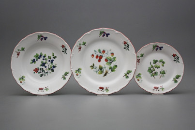 Plate set Verona Forest berries 12-piece FCL č.1