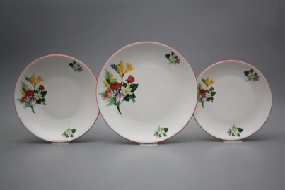 Plate set Coup Freesia 12-piece CCL č.1