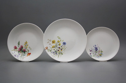 Plate set Coup Flowering meadow 24-piece HBB č.1