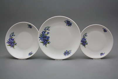 Plate set Coup Forget-me-not 12-piece CBB č.1