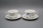 Tea set Opal Flowering meadow 15-piece HBB č.14