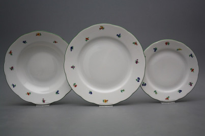 Plate set Rose Sprays 24-piece AZL č.1