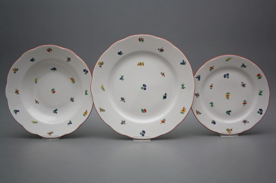 Plate set Rose Sprays 36-piece BCL č.1