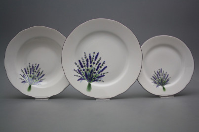 Plate set Rose Lavender 36-piece HFL č.1