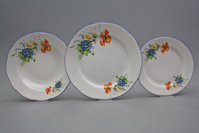 Plate set Rose Field flowers 36-piece DAL č.1