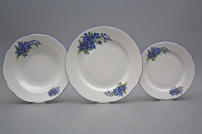 Plate set Rose Forget-me-not 36-piece DAL č.1