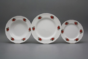 Plate set Ofelia Winter Bouquet 24-piece ABB