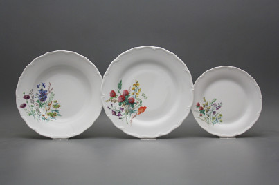 Plate set Verona Flowering meadow 12-piece HBB č.1