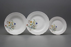 Plate set Verona Flowering meadow Motive B 12-piece HBB