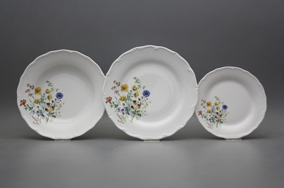 Plate set Verona Flowering meadow Motive B 12-piece HBB č.1