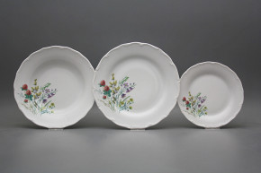 Plate set Verona Flowering meadow Motive C 12-piece HBB