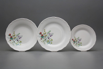 Plate set Verona Flowering meadow Motive C 12-piece HBB č.1