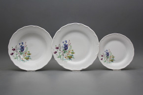 Plate set Verona Flowering meadow Motive D 12-piece HBB