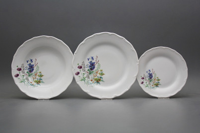 Plate set Verona Flowering meadow Motive D 12-piece HBB č.1