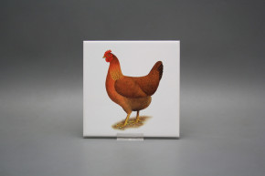 Tile COLOR ONE 15x15cm Hens WL