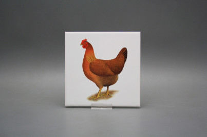 Tile COLOR ONE 15x15cm Hens WL č.1