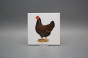 Tile COLOR ONE 15x15cm Hens WL č.2